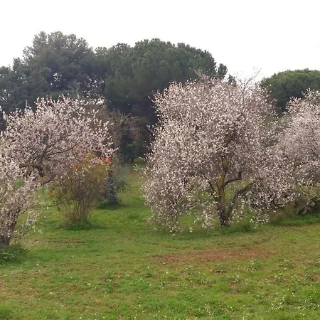 Bed & Breakfast Pirandello Margherita 2*